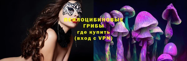 эйфоретик Богородицк