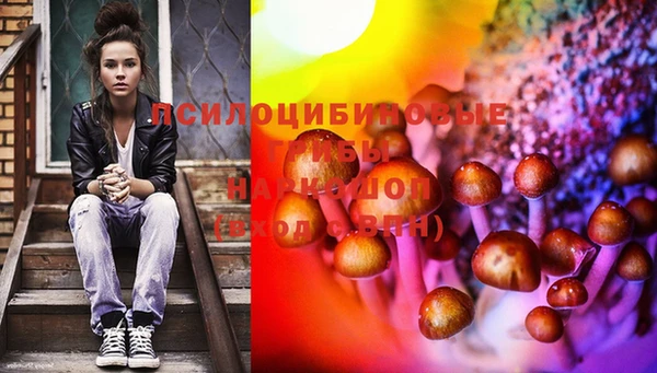 PSILOCYBIN Бугульма