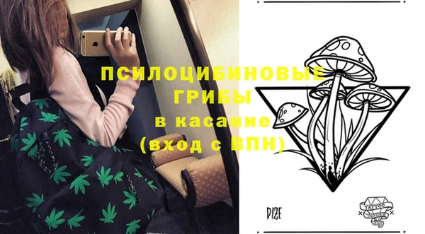 эйфоретик Богородицк